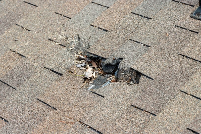 Damaged Roof Replacement in New Richmond, OH