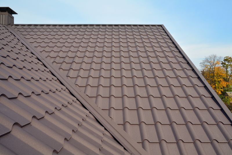 Tin Roof Installation in Newport, KY